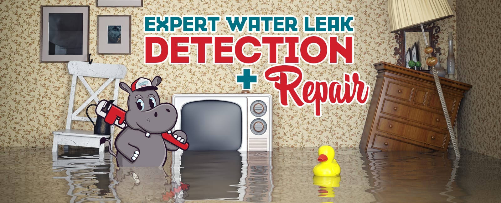 Expert Leak Detection and Repair