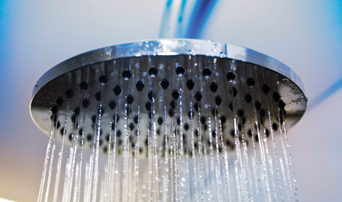 Shower Head